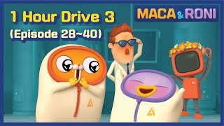 [MACA&RONI] 1Hour Drive 3 (Episode 28-40) | Macaandroni Channel by MACA & RONI - Funny Cartoon 3,510,446 views 1 year ago 1 hour