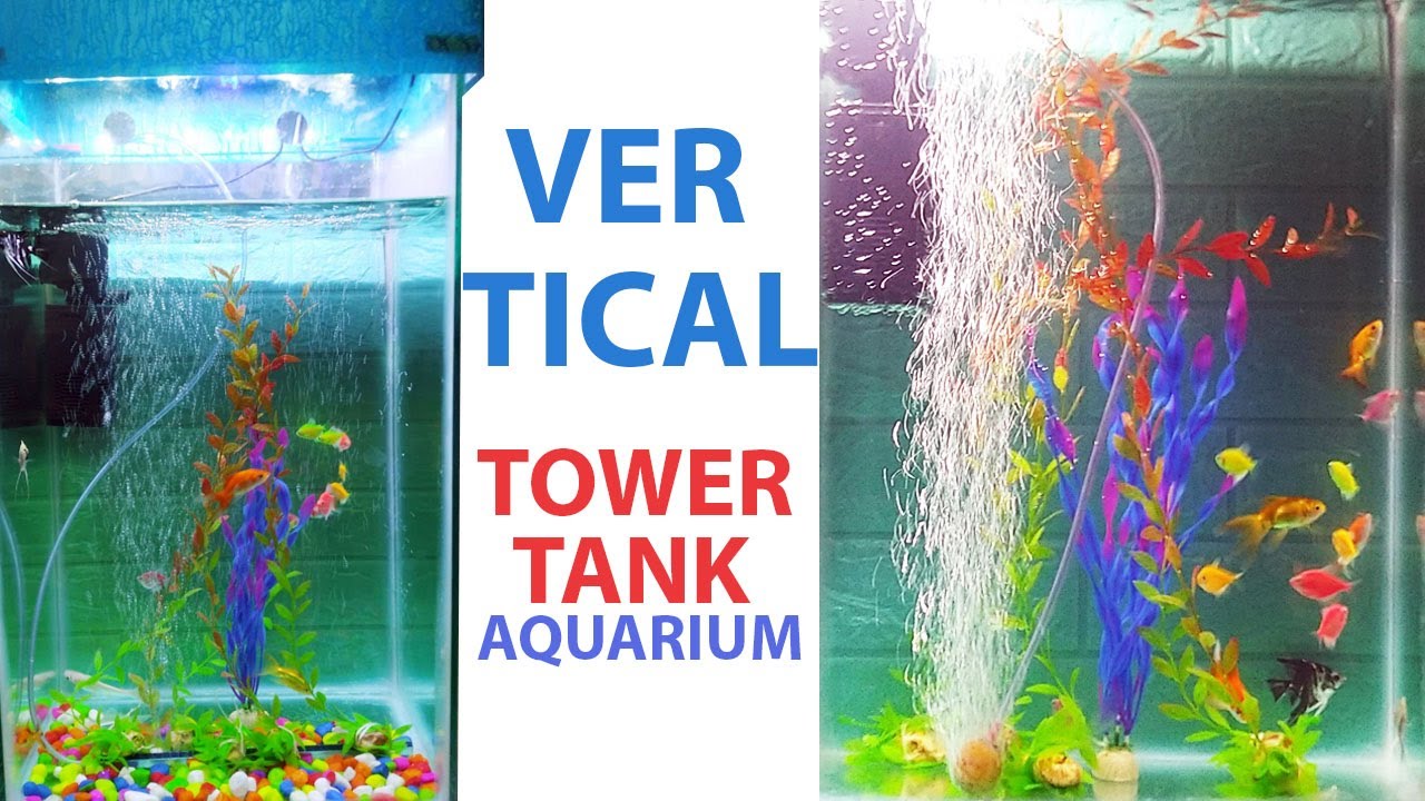 My Tower Aquarium Teaser, Vertical Aquarium, Tower Fish Tank