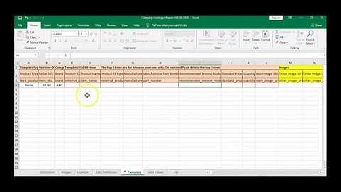 What is Flat File and how to upload data in bulk  13