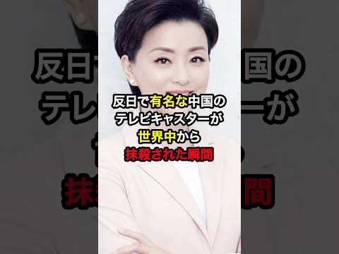 日本を罵倒する反日で有名な中国のテレビキャスターが米テレビで公開論破された結果…#海外の反応