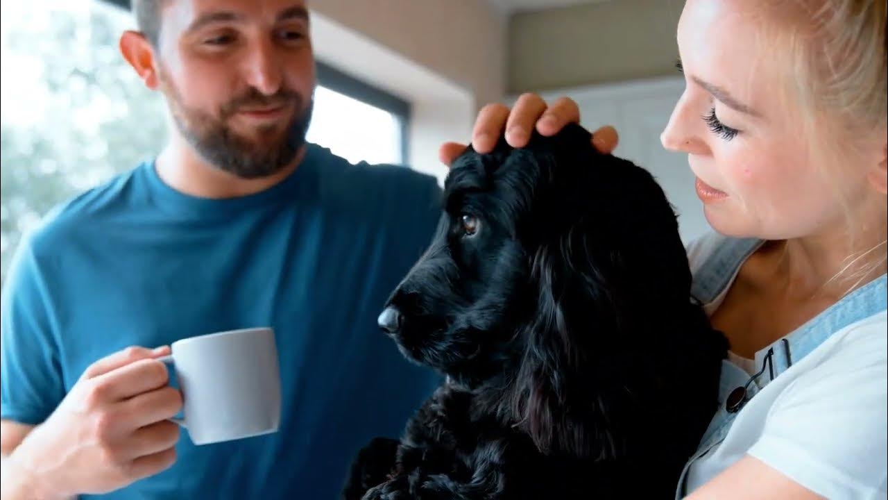 Harmful Foods For Dogs YouTube harmful-foods-for-dogs-youtube