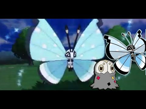 shiny scatterbug evolutionary line tundra not polar polar pattern chart