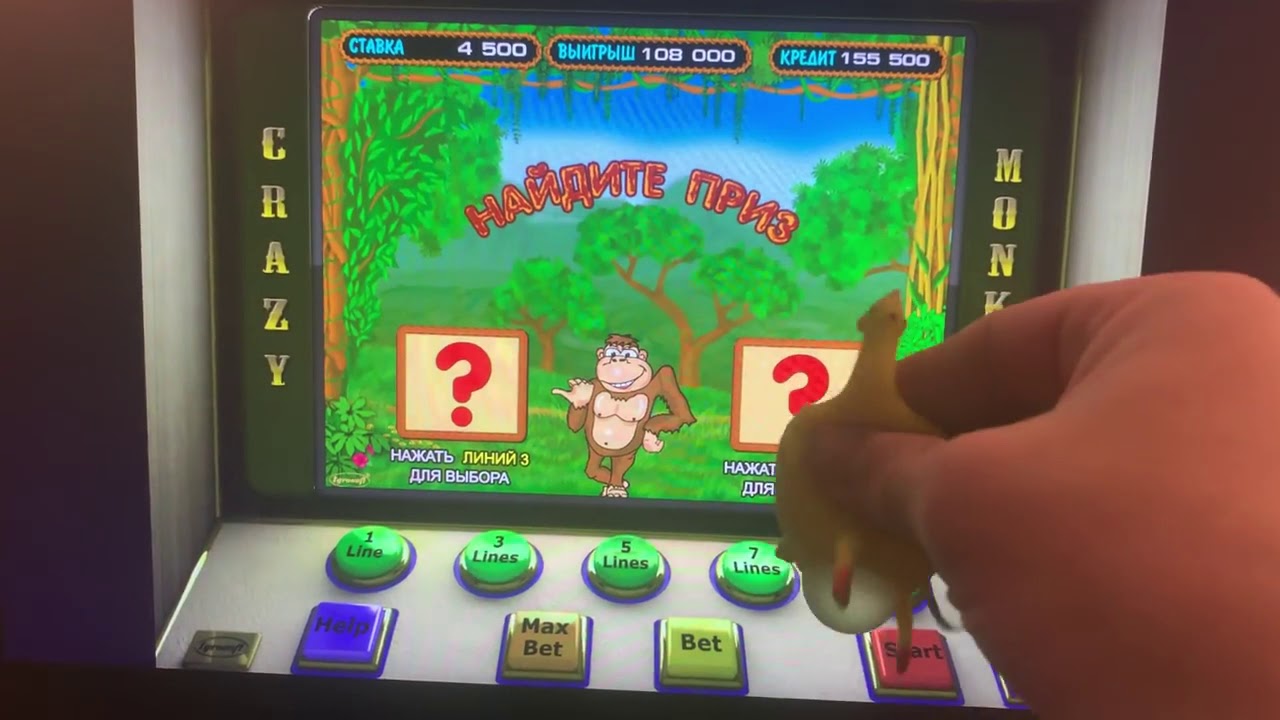 Игра лохотрон обезьянки. Выигрыш в автоматы обезьянки. Как правильно играть в игровые автоматы чтобы выиграть на вулкане. Самый большой выигрыш в казино обезьянки. Как выиграть в казино мартышки.
