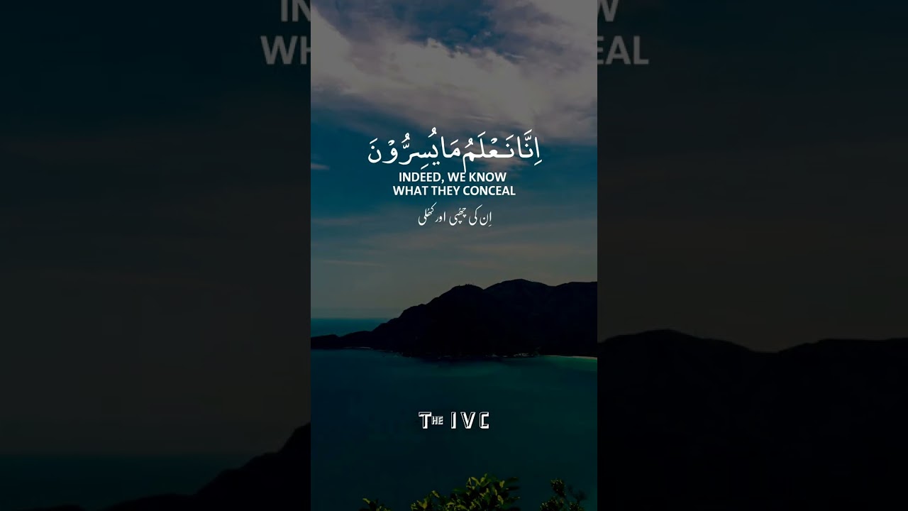 Surah Yaseen Verse 76 Recitation by Tareq Mohammad 