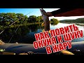 Как ловить щуку и окуня в жару | Море щуки в одной точке | Одна приманка спасла рыбалку | Сплав