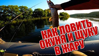 Как ловить щуку и окуня в жару | Море щуки в одной точке | Одна приманка спасла рыбалку | Сплав