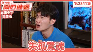 愛.回家之開心速遞|第2841集完整版|失孤驚魂|劉丹、呂慧儀、單立文、湯盈盈、滕麗名、吳偉豪、張景淳、林淑敏、許家傑|港劇|粵語中字|2026