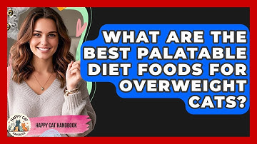 What Are The Best Palatable Diet Foods For Overweight Cats? - Happy Cat Handbook