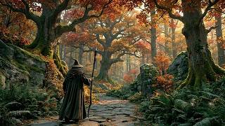 The Elderwood Path of the Forest Mage | Medieval Fantasy Music &amp; Animated Ambience