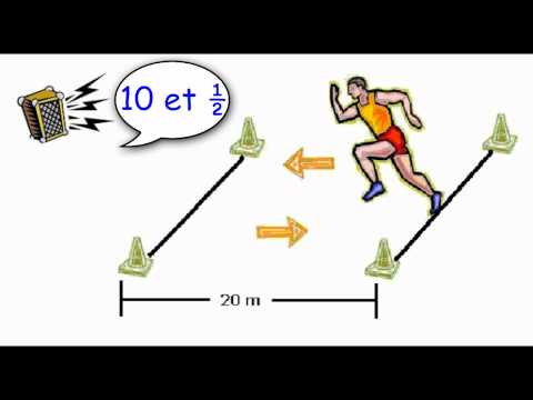 Test Léger Navette (Bips) 20 Mètres