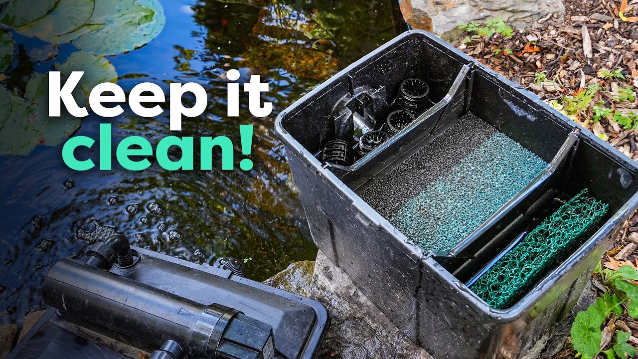 How to Clean Pond Filters (and Why It's So Important)