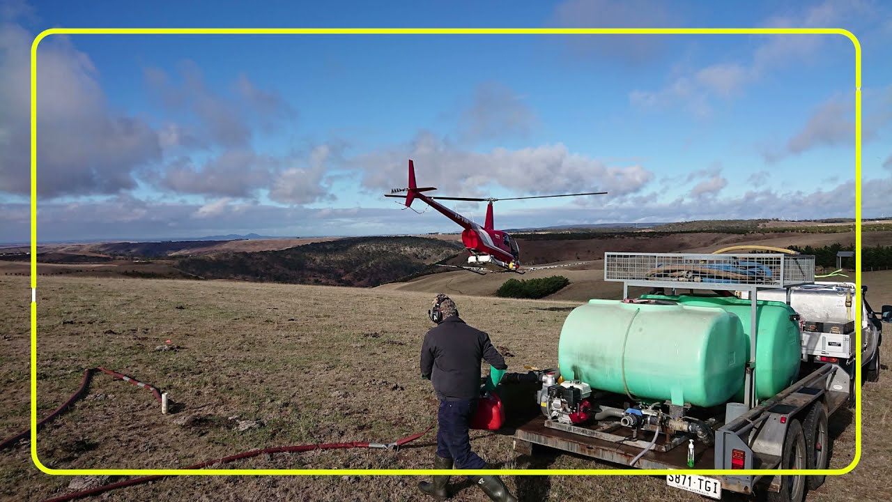Aerial Spraying for Serrated Tussock