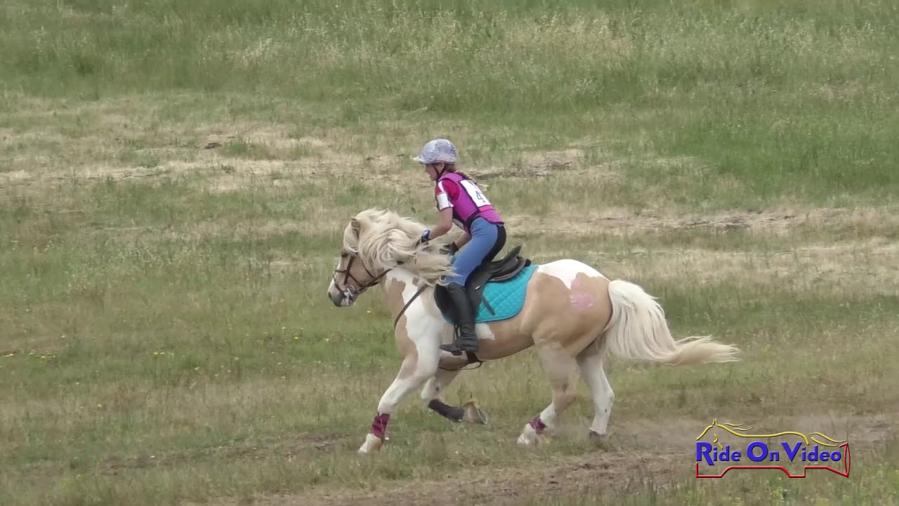 horseshoe bend 438XC Rylee Muhlwood on Yoshi Intro Cross Country Woodside May 2019