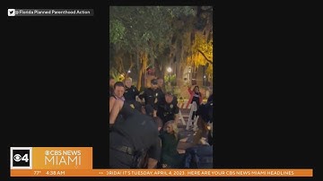 Florida Democratic Party Chair Nikki Fired arrested during abortion bill protest