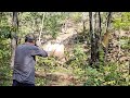 Best close combat rifle drill 1to5. We offer best shooting classes in Virginia.