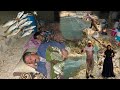 Nomadic Life| Nomadic Fishing Secrets 🎣| Nomadic Dinner by the Fire🔥