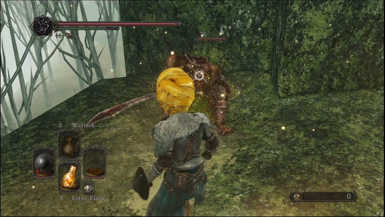 Getting to Aldia's Keep with no King's Ring in Dark Souls 2 SotFS YouTube