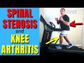 Surprising Benefits of Incline Treadmill Walking for Knee Arthritis &amp; Spinal Stenosis Mp3 Song