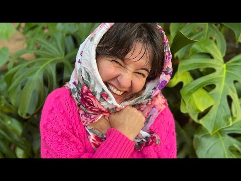 Vídeo: Cuidados de inverno com flores de cobertor - Como preparar plantas de flores de cobertor para o inverno