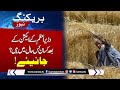 Wheat Crisis in Pakistan | Farmers worried despite action of PM | Breaking News