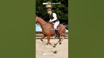 Bí ẩn hàng thế kỷ được giải đáp chỉ trong một cú bấm máy!🤔