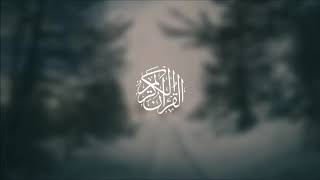 Wadi' al-Yamani - Surat Al-Ma'idah