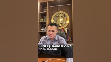 BẮT ĐÁY CỔ PHIẾU NGÂN HÀNG. #stocks #chungkhoan #trading #sieucophieu #taichinh #bluechips #index