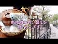 【70代を生きるNo.272】蔵前まで籠を買いに／花が散った隅田公園へ／今日の作り置き「厚揚げと大根との炒め煮」