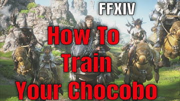 FFXIV How To Train Your Chocobo How To Increase It