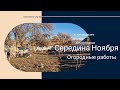 Устанавливаем столбы для винограда // Середина Ноября