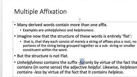 Morphology Chapter 7 lecture video part 2