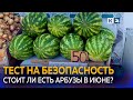 Первые арбузы начали продавать на Кубани: насколько безопасна ягода?