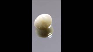 NATURAL QUARTZ CATS EYE 9. 56 CTS (1031 -224 -190)