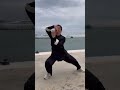 Master Chen Juan Taiji (liu feng si bi)