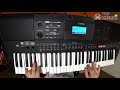 Автоаккомпанемент на синтезаторе. Видеоурок на Yamaha PSR-E463, Video tutorial