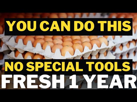 The EASIEST Technique Anyone Can Do To Preserve Raw Eggs For 1 Year | Prepping