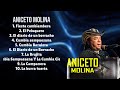 Aniceto molinatop hits compilation for 2024leading hits compilationenticing