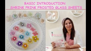 SHRINK PRINK BASIC INTRODUCTION TUTORIAL#1