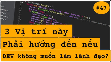 Các Lập trình viên hiện tại nói về khả năng cạnh tranh cốt lõi chính xác là gì? Vị trí đạt được...