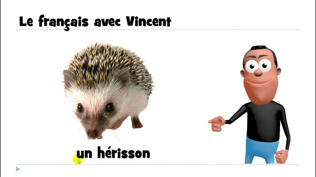 Nina et le secret du herisson. Herisson Perry. Herissonance.