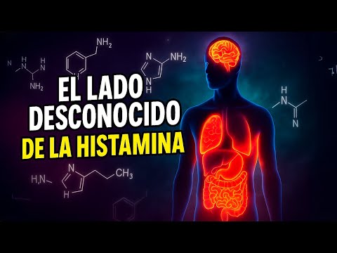 El lado desconocido de la histamina: cerebro, inmunidad y energía – Dr. Domingo Pérez León