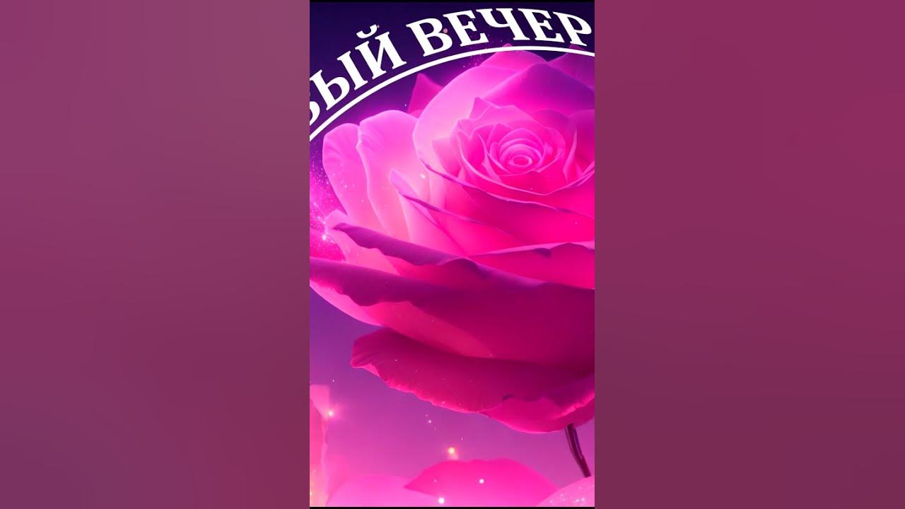 розовый вечер новая версия 2023. розовый закат. розовый вечер новая версия 2023. группа ласковый май розовый вечер. Ally moon - розовый вечер.