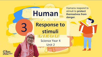 Science Year 4 | Human Response to Stimuli |
