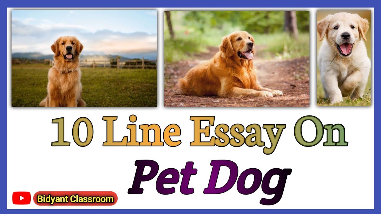 My pet dog 10 line essay Pet dog essay 10 line essay on my dog in