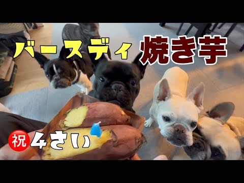 フレブル7兄弟の毎日 - YouTube