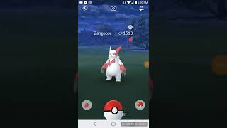 Catching The 100 Iv Zangoose