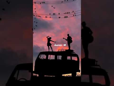 حالات واتس تامر عاشور   وأمانه عليا اشيلك في عنيا وقلبي