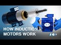 Threephase asynchronous motor or induction motor  disassembly and working principle