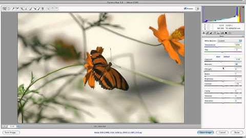 Photoshop for Video: Camera Raw - Part 1