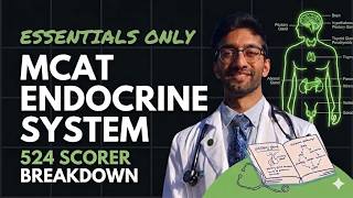 MCAT Endocrine System Essentials [524 Scorer Review]